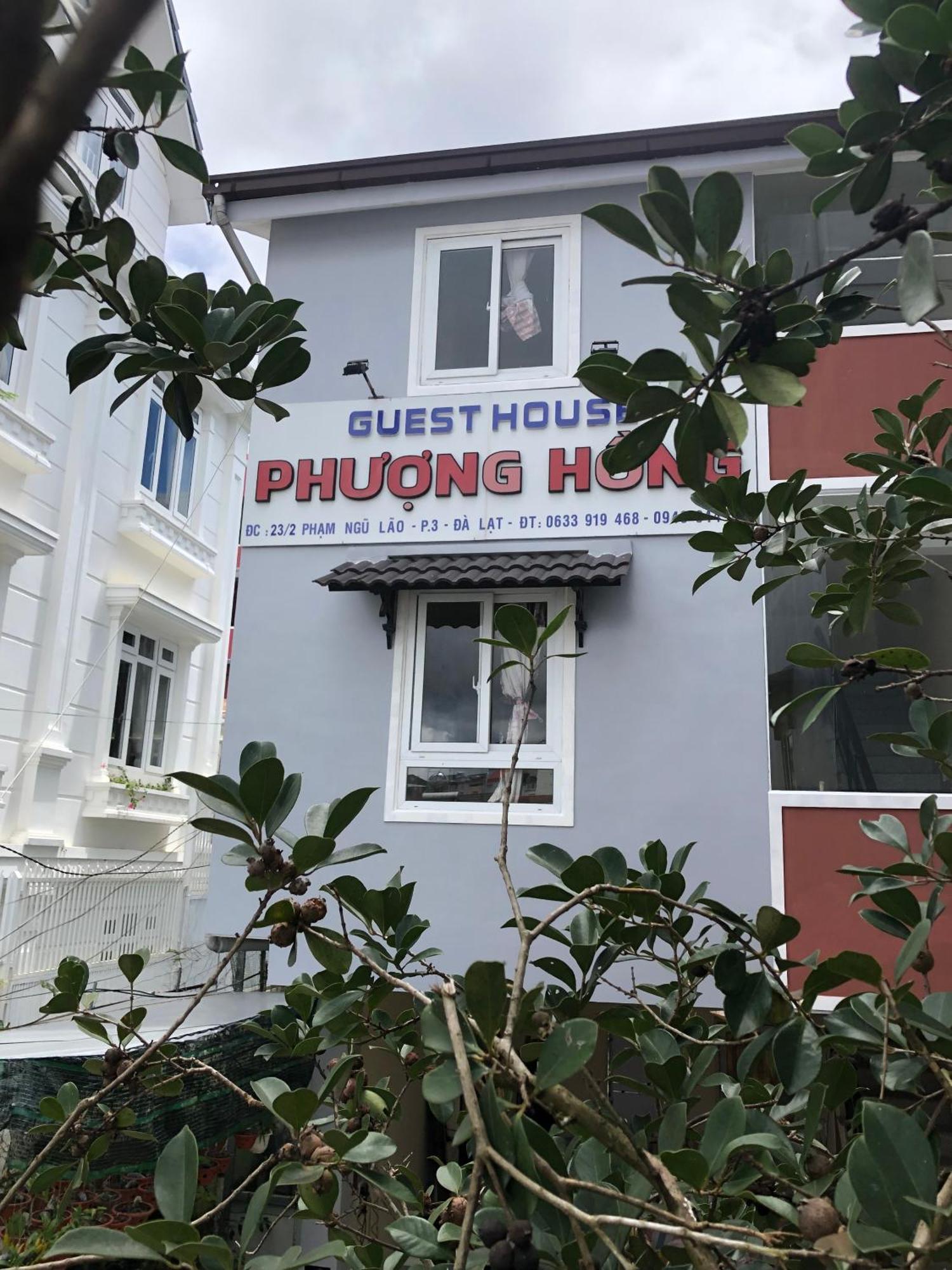 Phuong Hong Guesthouse Далат Екстер'єр фото